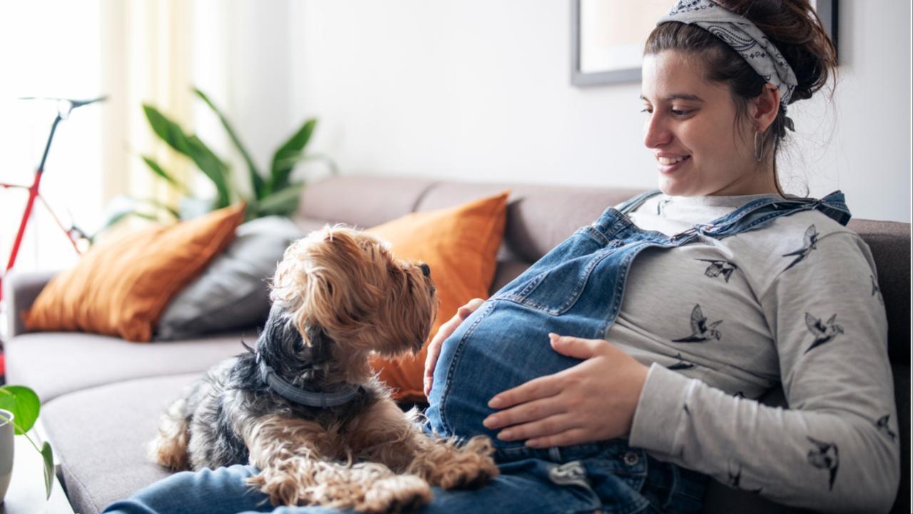 Exposure to pets during foetal development may cut food allergies in babies: Study