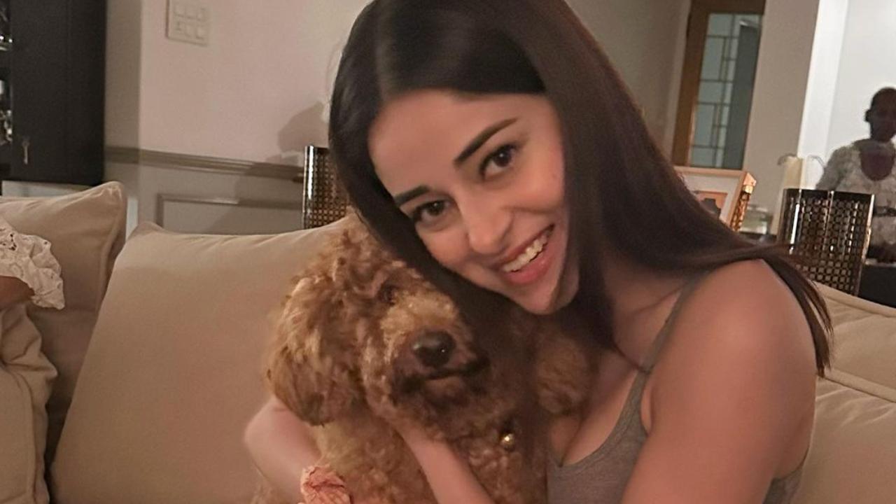 Ananya Panday reveals love for momos, captions it 'Gimme momo...' 