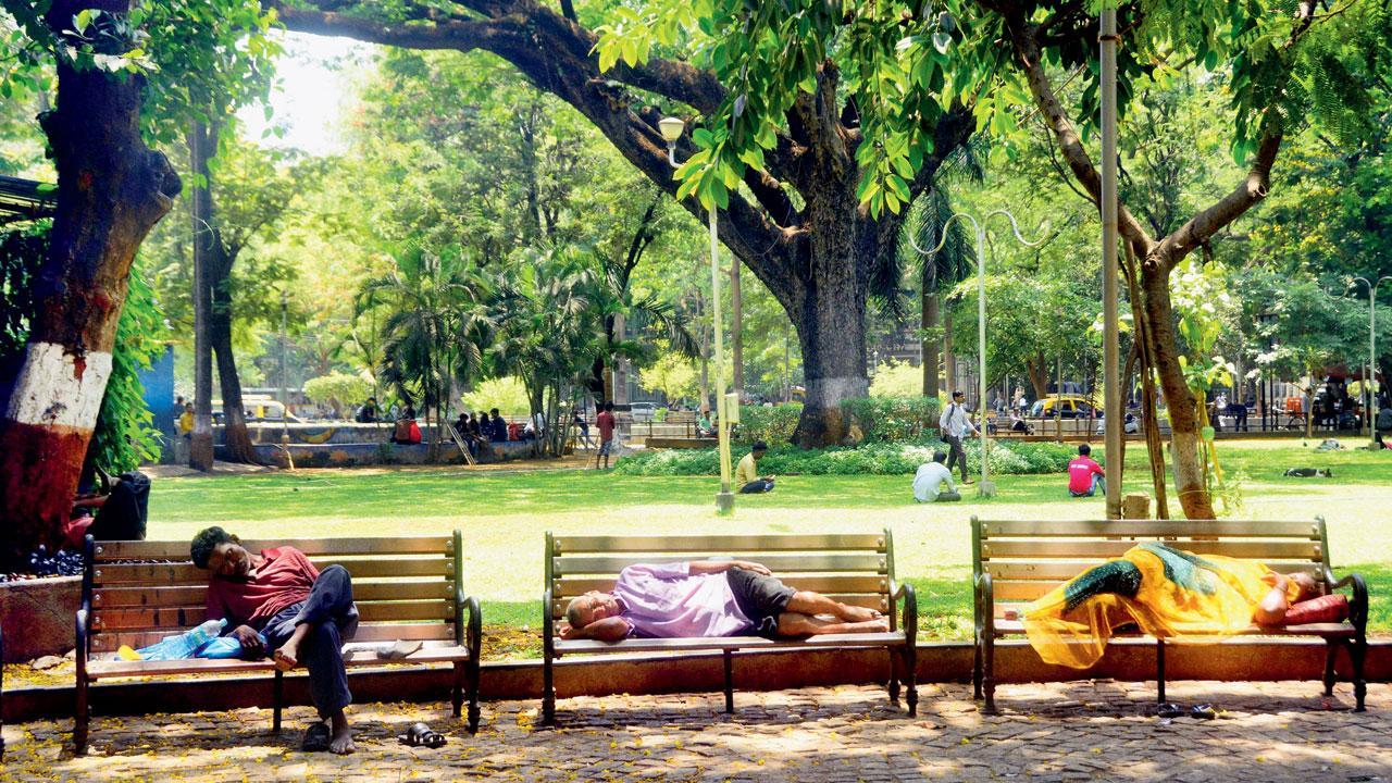 BMC currently has a total of 1,068 open spaces, playgrounds, recreation grounds. Pic/Satej Shinde