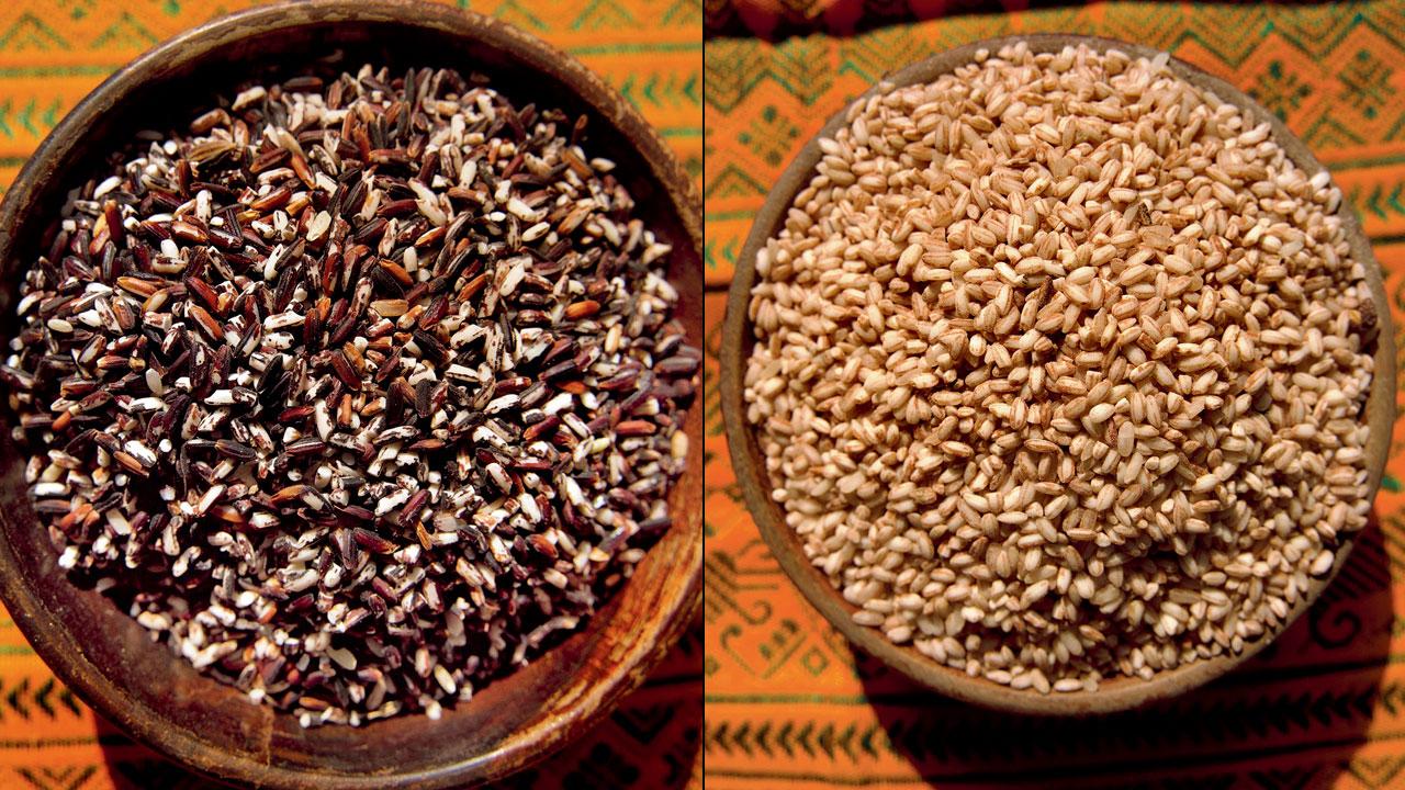 Black rice or gwswm mairong (right) red rice or mai-bra. Pics/Rangjalu Basumatary