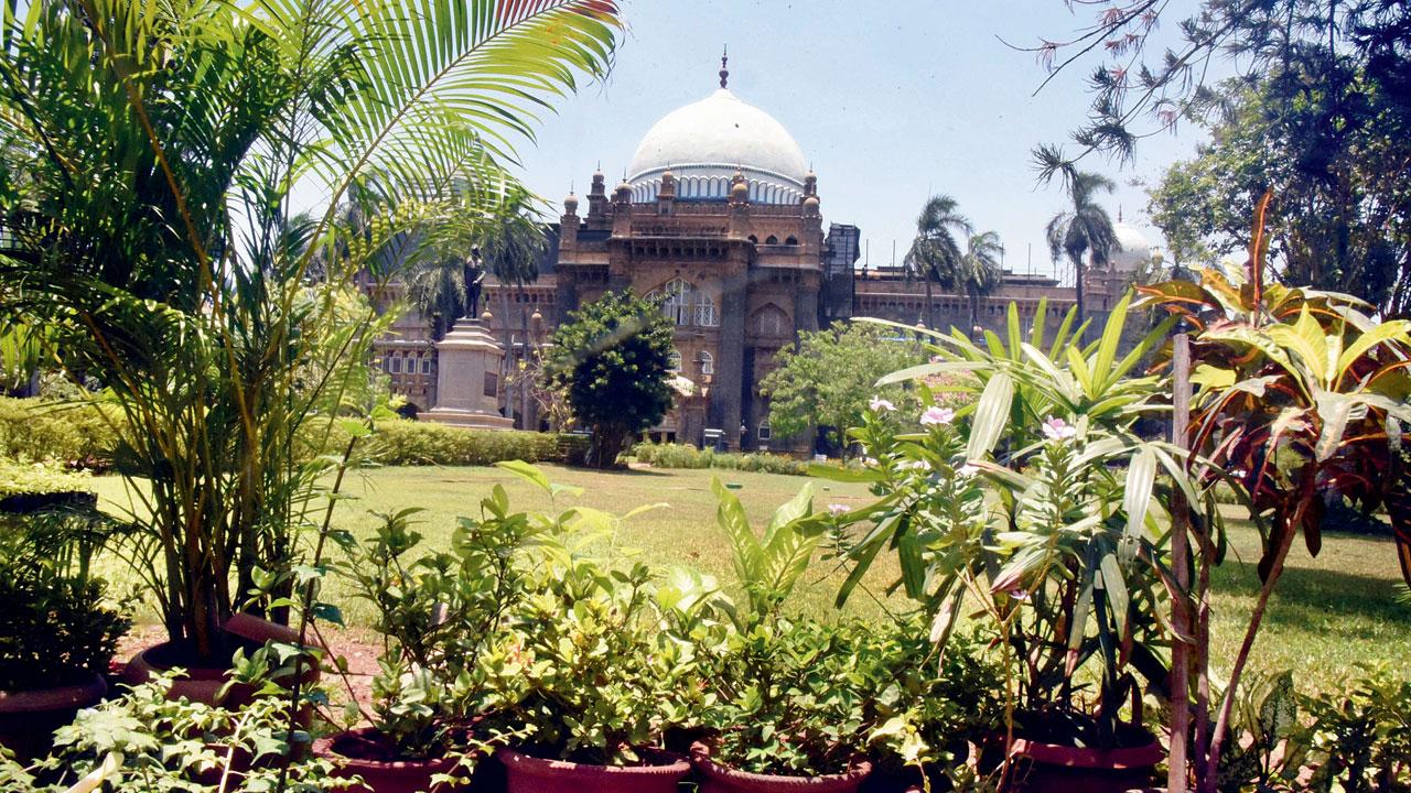 The garden is located in the foreground of the CSMVS museum building. Pics/Sameer Markande