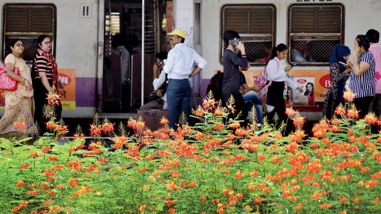 Mumbai Diary: Wednesday Dossier