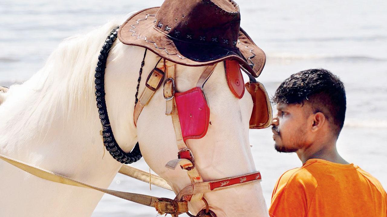 Pic/Aishwarya Deodhar