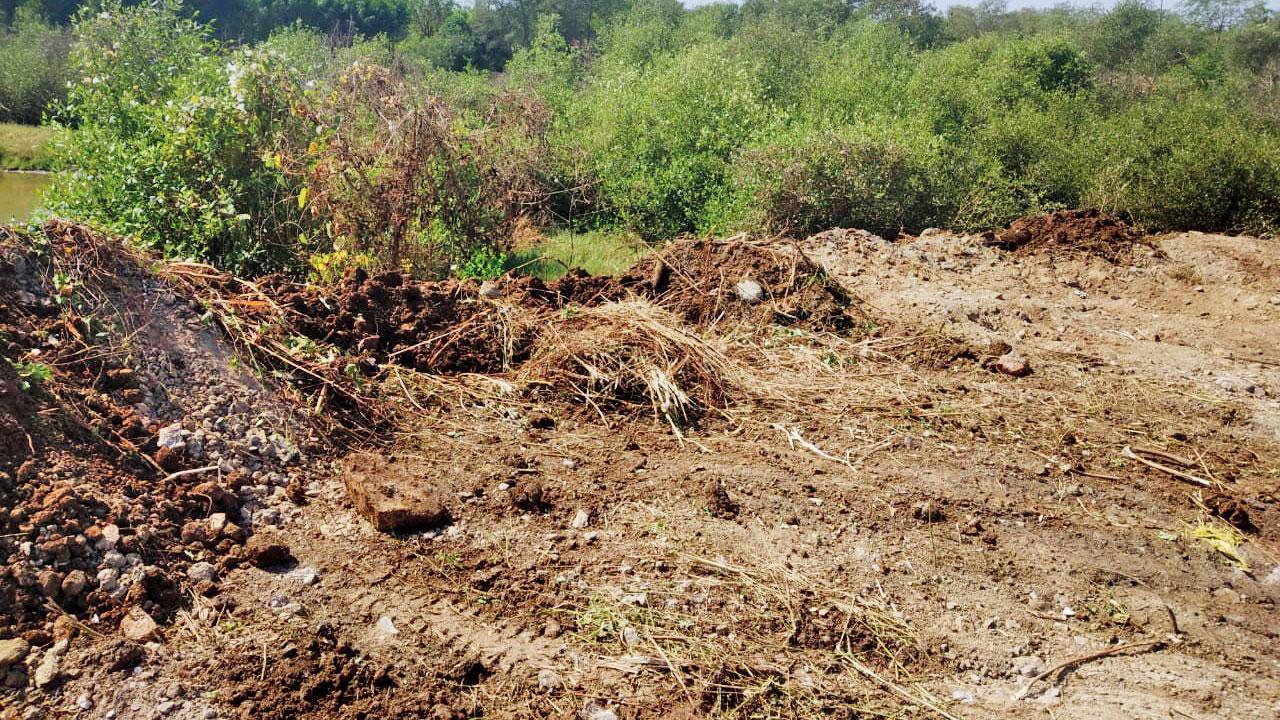 Navi Mumbai: CM Eknath Shinde asks officials to probe Nhava mangrove destruction