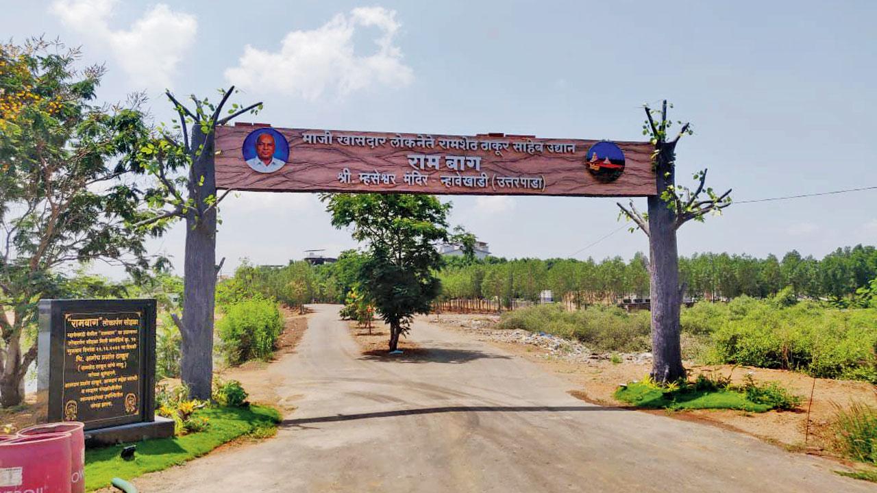 Mangrove destruction at Rambagh