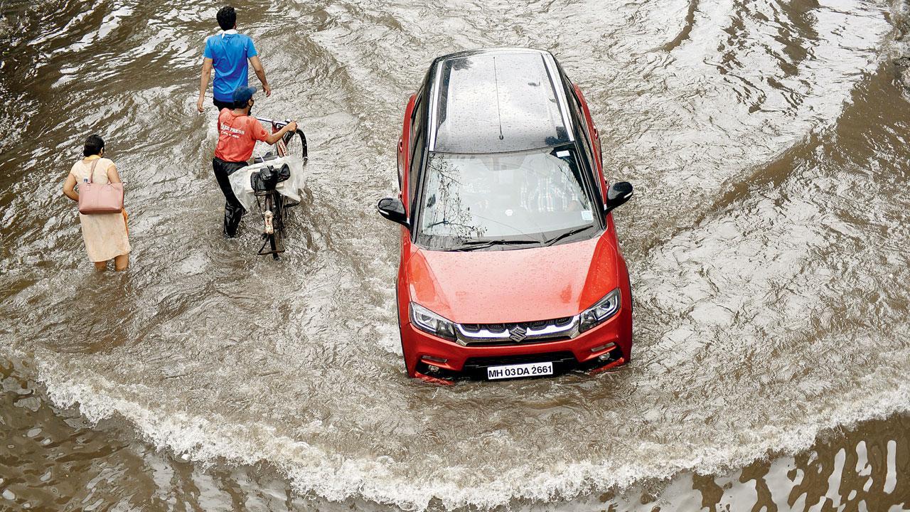 Mumbai: Now, you will know exactly who is to blame for flooding