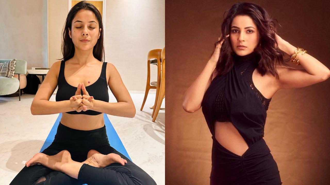 Shehnaaz Gill embarks on her yoga journey at her new house, see photo