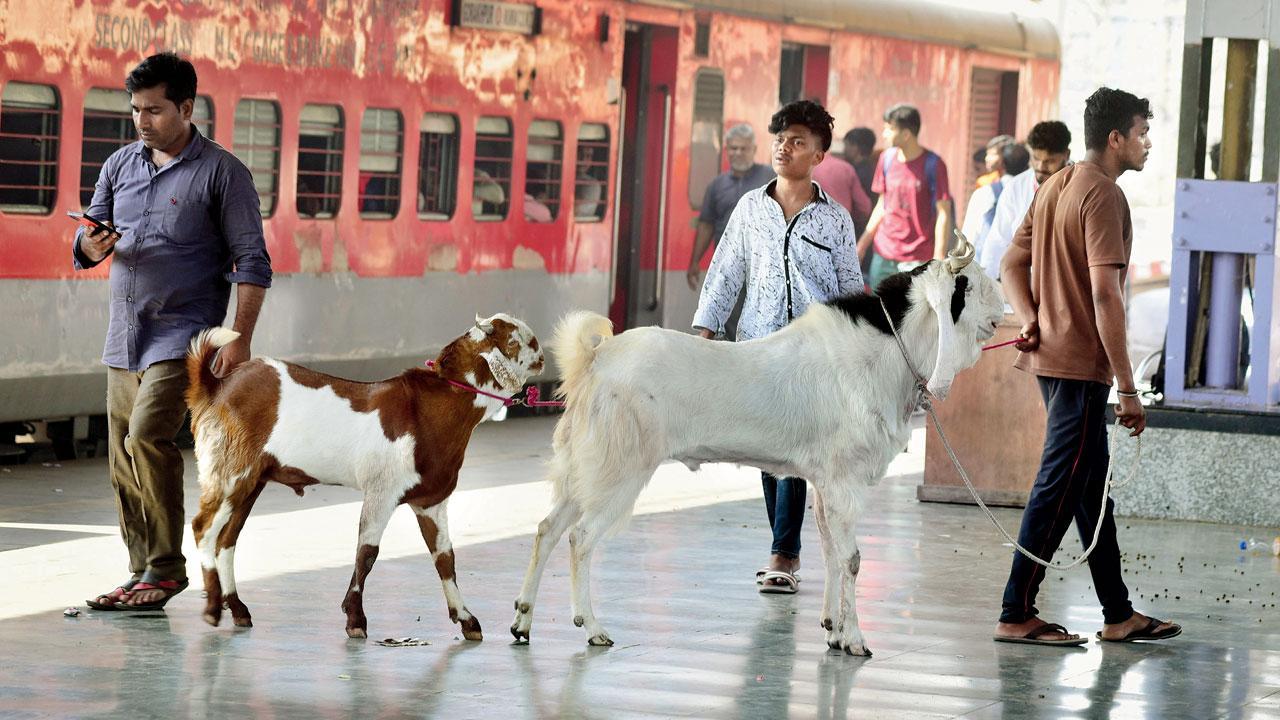 Mumbai Diary: Monday Dossier
