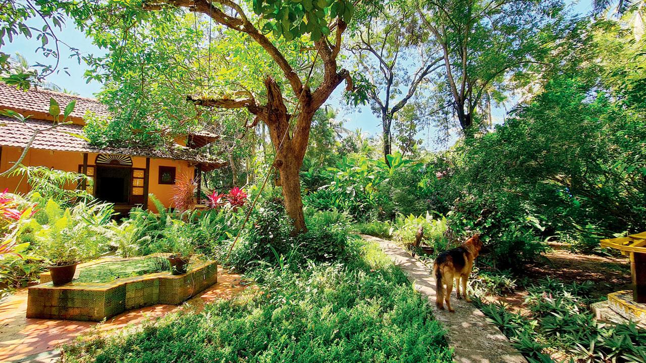Katharina Poggendorf-Kakar, author of Moving to Goa, planted her garden in Benaulim herself. Gardening keeps her rooted to her identity