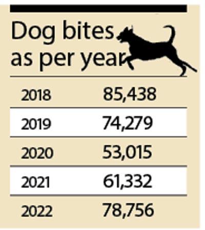 Dog bites  as per year