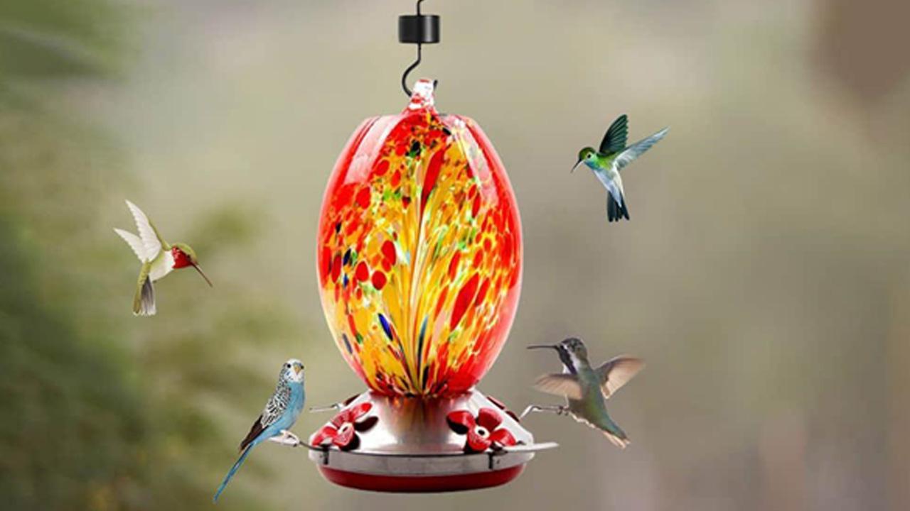Sherem Hummingbird Feeder Reviews (Shocking) - What Other Customers Say? Sherem Hummingbird Feeder Customer Reports!