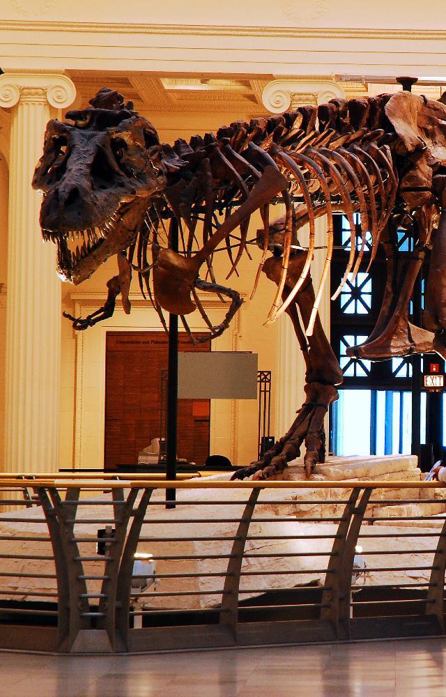 Tips for your next museum visit