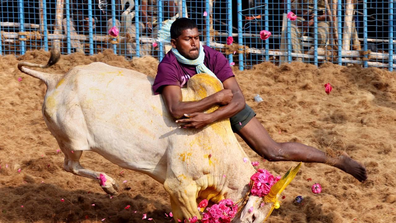 The Tamil Nadu government had defended the event of 