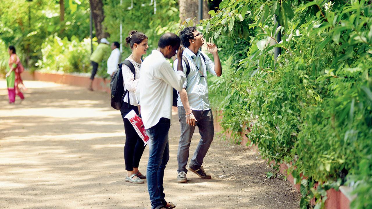 Visitors check out the biodiversity garden