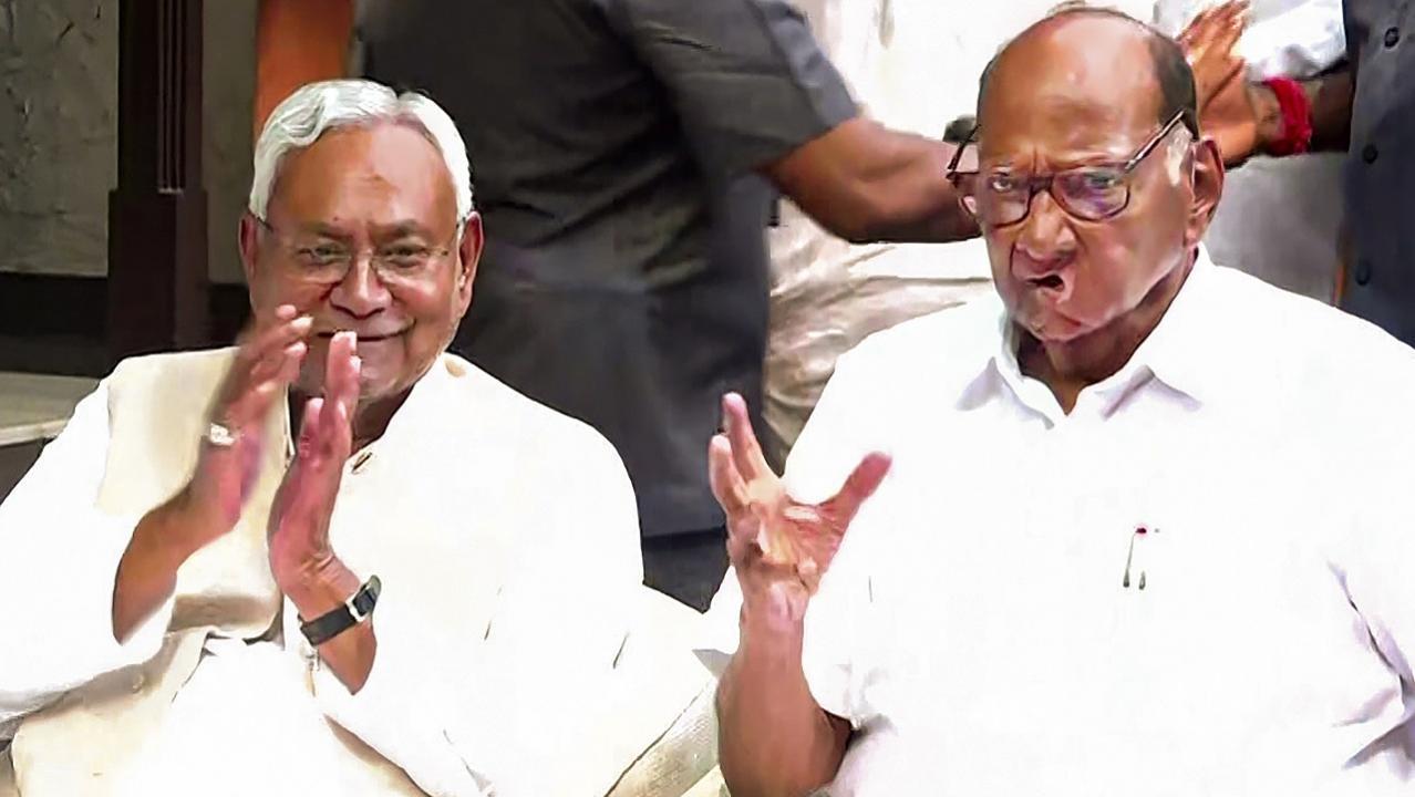 Nitish Kumar, Sharad Pawar discuss strengthening opposition unity ahead of Lok Sabha polls