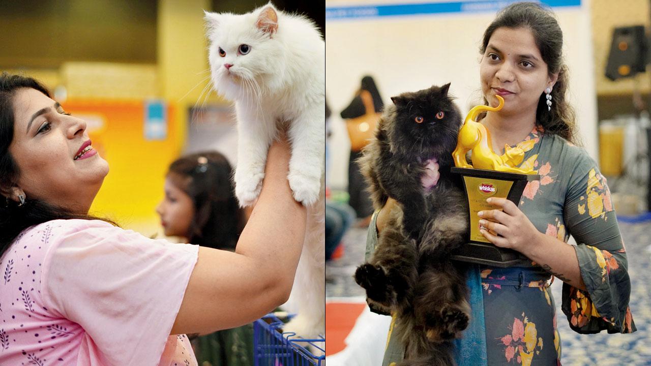A pet parent holds up her Persian cat (right) A winner and its cat parent pose with their trophy