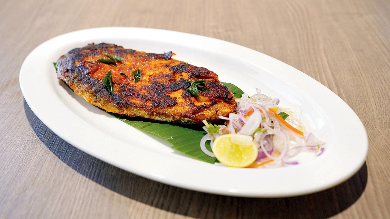 Surmai tawa fry