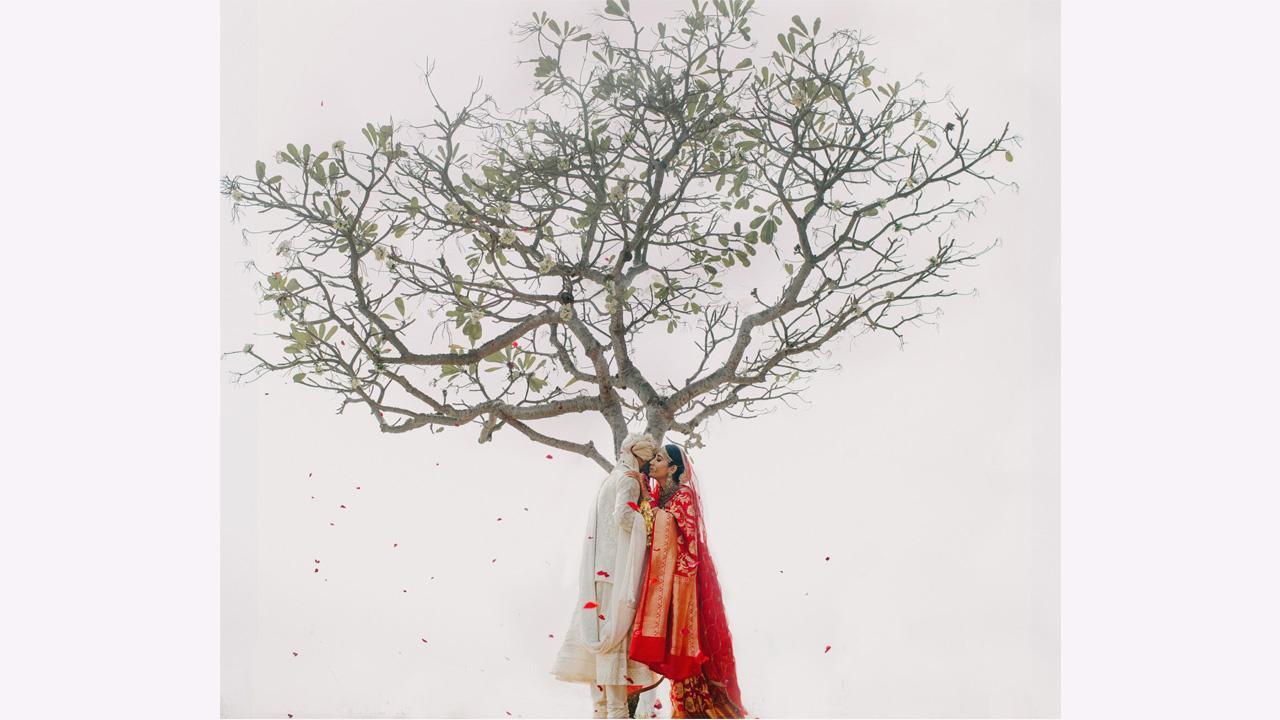 How do wonderful pictures influence netizens? Siddharth Sharma presents his perspective 