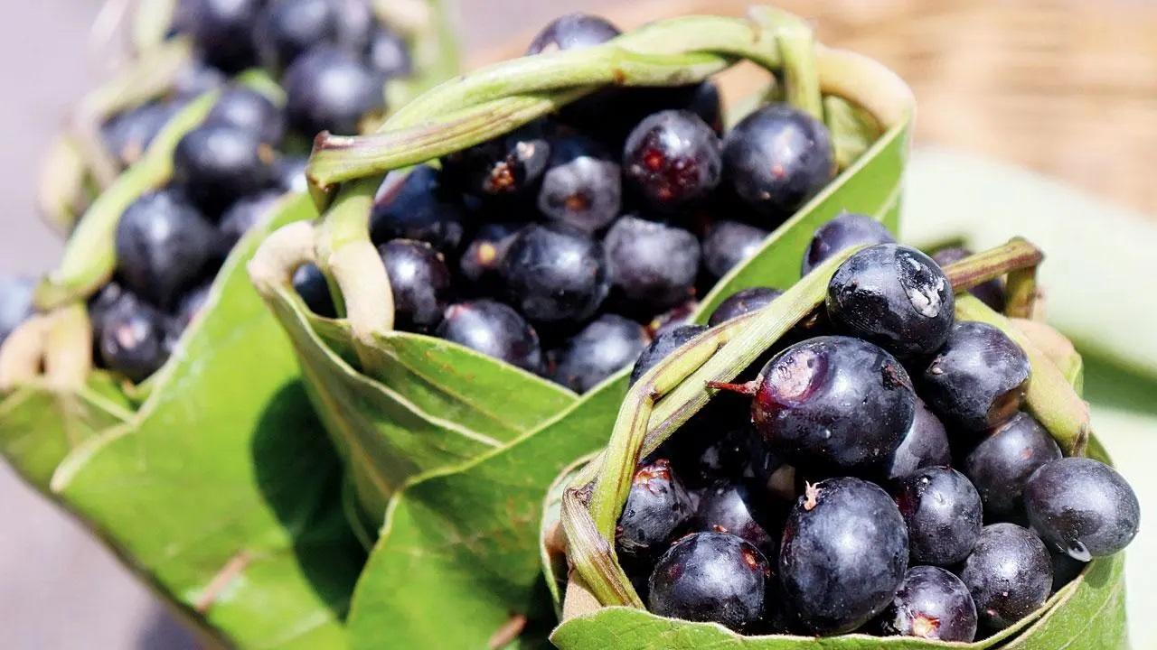The blackberries are available in pouches made from leaves at the corners of many streets in Mumbai. Photo Courtesy: Anurag Ahire/Mid-day