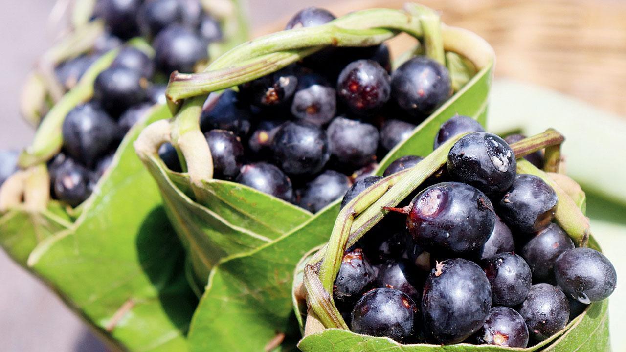 From blackberries to tadgolas: Why now is the best time to enjoy these summer specials