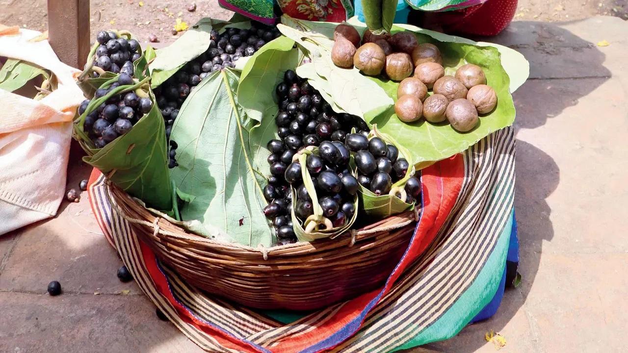 BlackberriesBlackberries, karwanda or better still, they are called dongrachi kali mayna (black myna of the hills). These small, fruity blackberries are abundant in the Sahyadris in this season. Photo Courtesy: Anurag Ahire/Mid-day