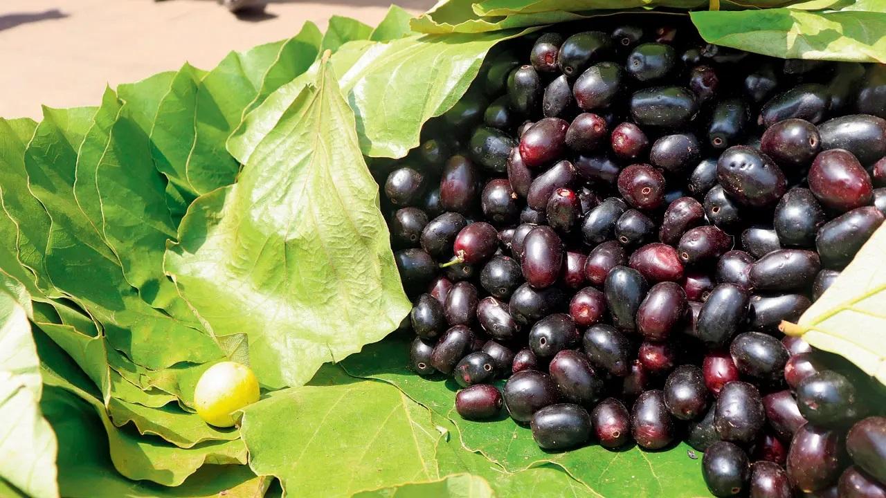 JamunsIs it even summer if you haven’t stained your lips purple with this tarty, sweet yet sour fruit? Laden with tons of health benefits, jamun is always on the right side. Photo Courtesy: Anurag Ahire/Mid-day