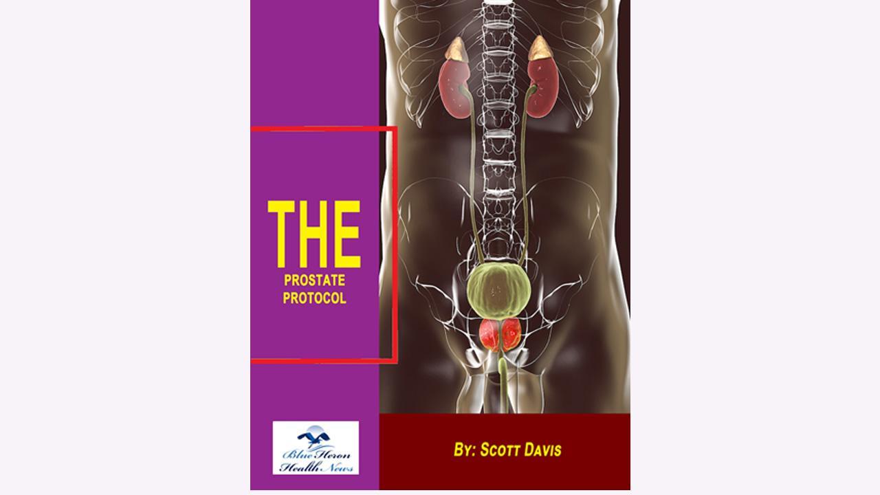 The Prostate Protocol Reviews (CUSTOMER ALERT 2023) Scott Davis Prostate Protocol eBook Legit or Safe? Download PDF