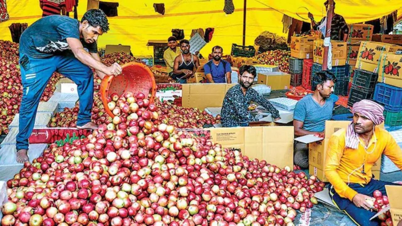 India amends apple import policy