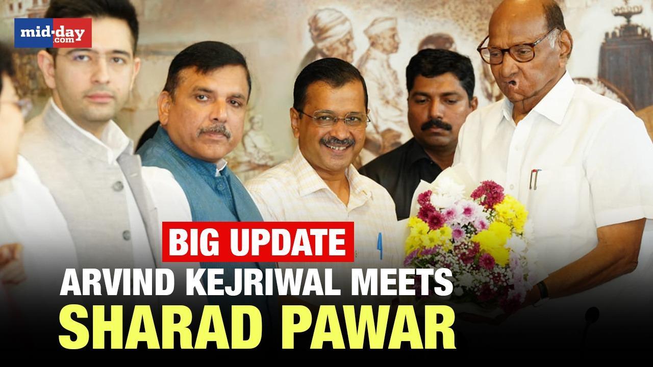Arvind Kejriwal meets Sharad Pawar to seek support against centre's ordinance