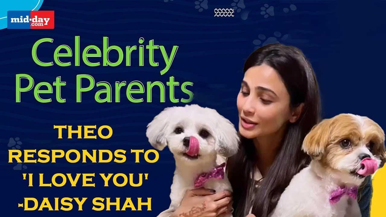 1280px x 720px - Celebrity Pet Parents 2! Daisy Shah: I'm a helicopter mom