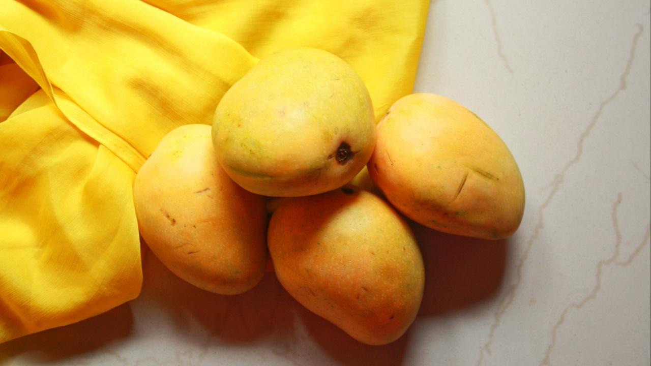 BadamiSourced from Andhra Pradesh, Telangana, and Kerala. This variety of mangoes has a sweet, juicy, and fiberless pulp. Interestingly, this type of mango is among the first varieties to hit the market. The fruit has thin skin and is usually medium-sized