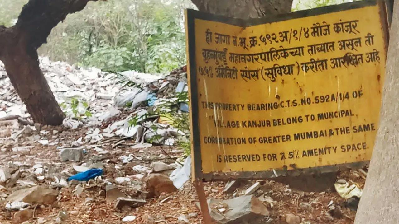Development, environment should go hand-in-hand
