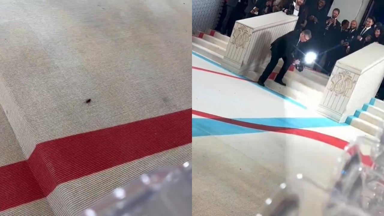 Met Gala 2023: A cockroach steals limelight at the red carpet; PETA reacts