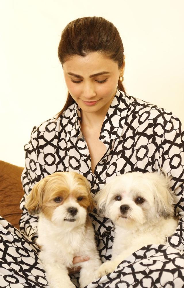 Daisy informs that her pet Theo responds to `I love you.`