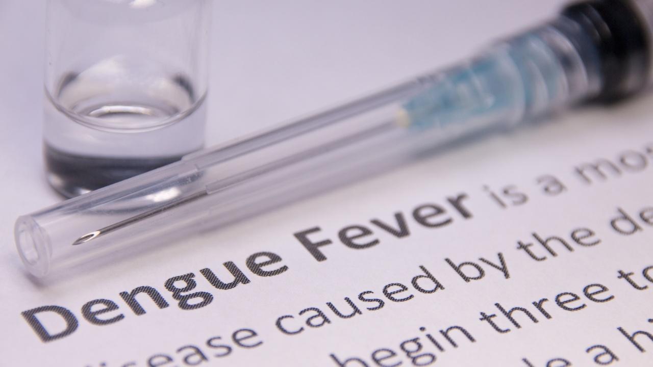Symptoms of dengueSome of the most common symptoms of dengue are high-grade fever, severe body aches and sometimes rash as well. However, people also need to be aware of intense abdominal pain, nausea, vomiting, breathlessness, headaches and skin itching. They start to appear three-four days after the infection. Image for representational purpose only. Photo Courtesy: Istock