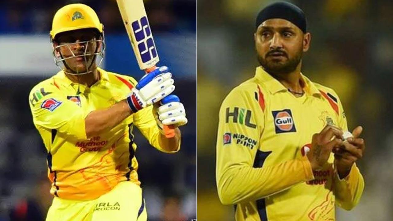 Only Dhoni knows when he'll retire from IPL: Harbhajan Singh