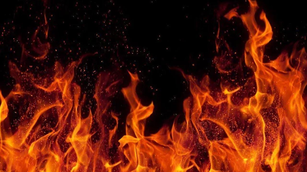 Fire break out at godown in Delhi's Pooth Khurd; no casualties reported