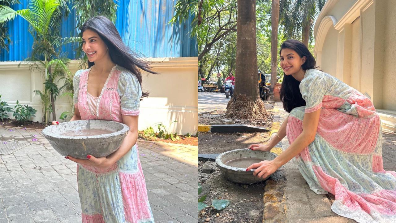 Jacqueline Fernandes turns animal lover, keeps water bowls for strays