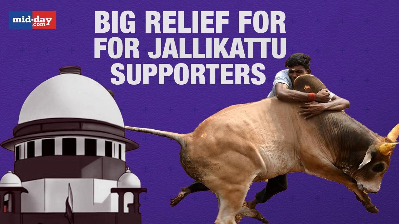 Supreme Court upholds law allowing Jallikattu in Tamil Nadu