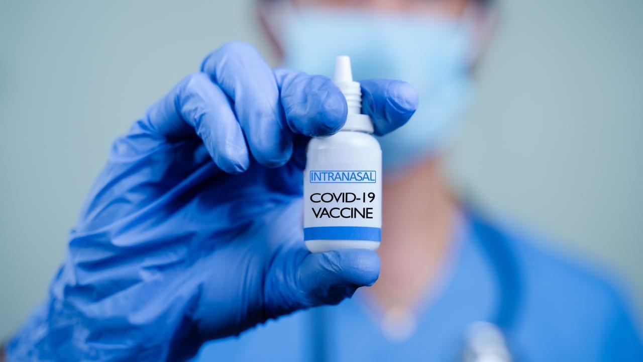 Covid-19: BMC receives lukewarm response for intranasal vaccine in Mumbai