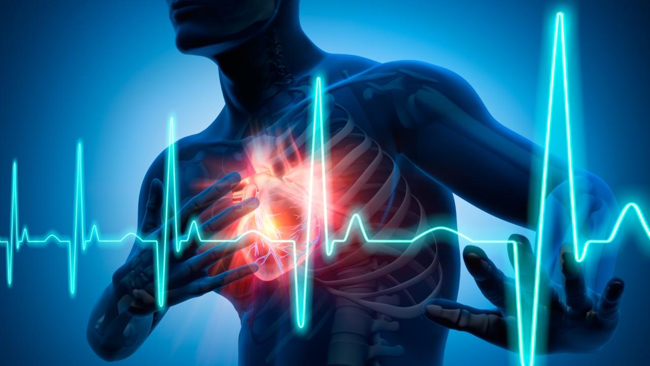 In 2022, statistics showed that one person died of heart attack or cancer every hour in the city. Experts blame sedentary lifestyle, unhealthy food habits and stress, as they are major contributors to these issues, and have raised concerns about younger people getting heart ailments