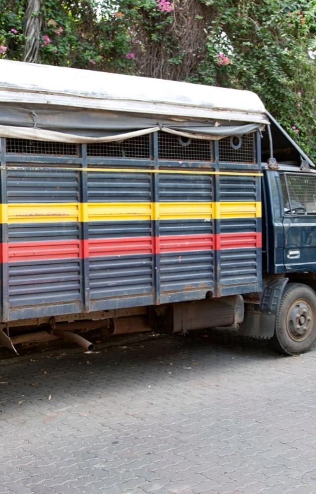 The police arrested the accused from Shirsad village in Palghar district, an official said