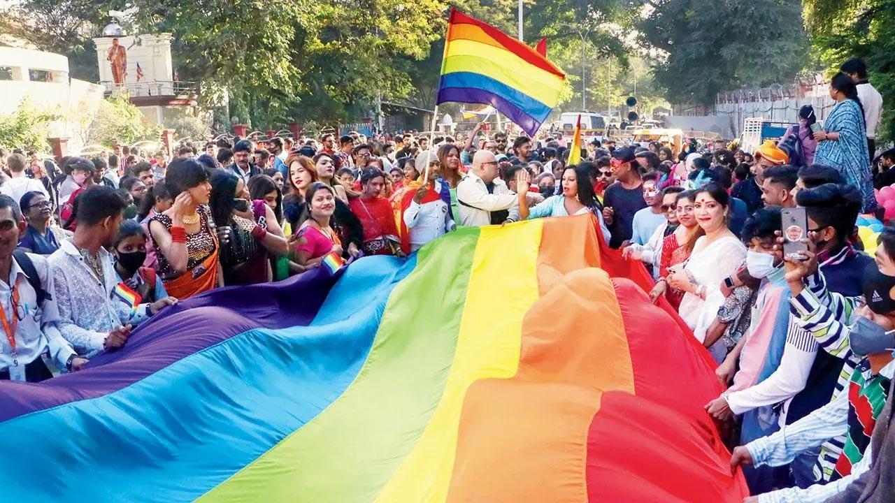 Homosexuality a disorder, it will further increase in society if...: RSS body
