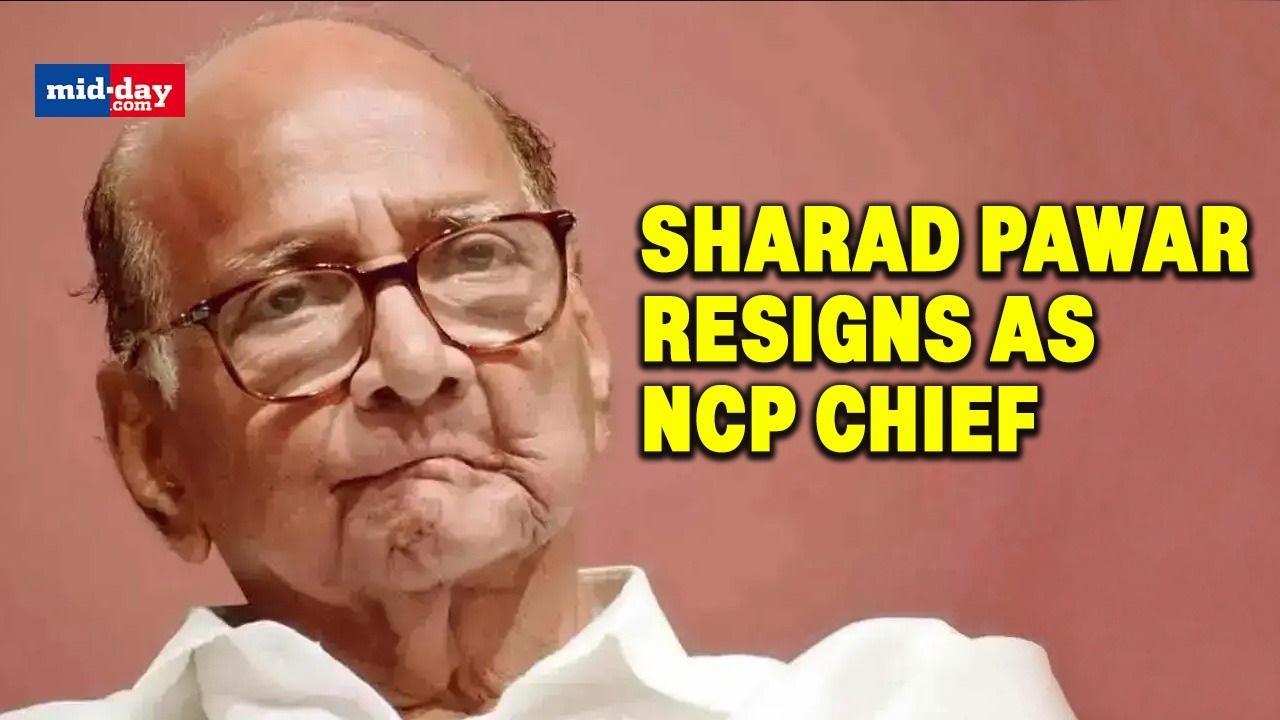 Sharad Pawar resigns as NCP president