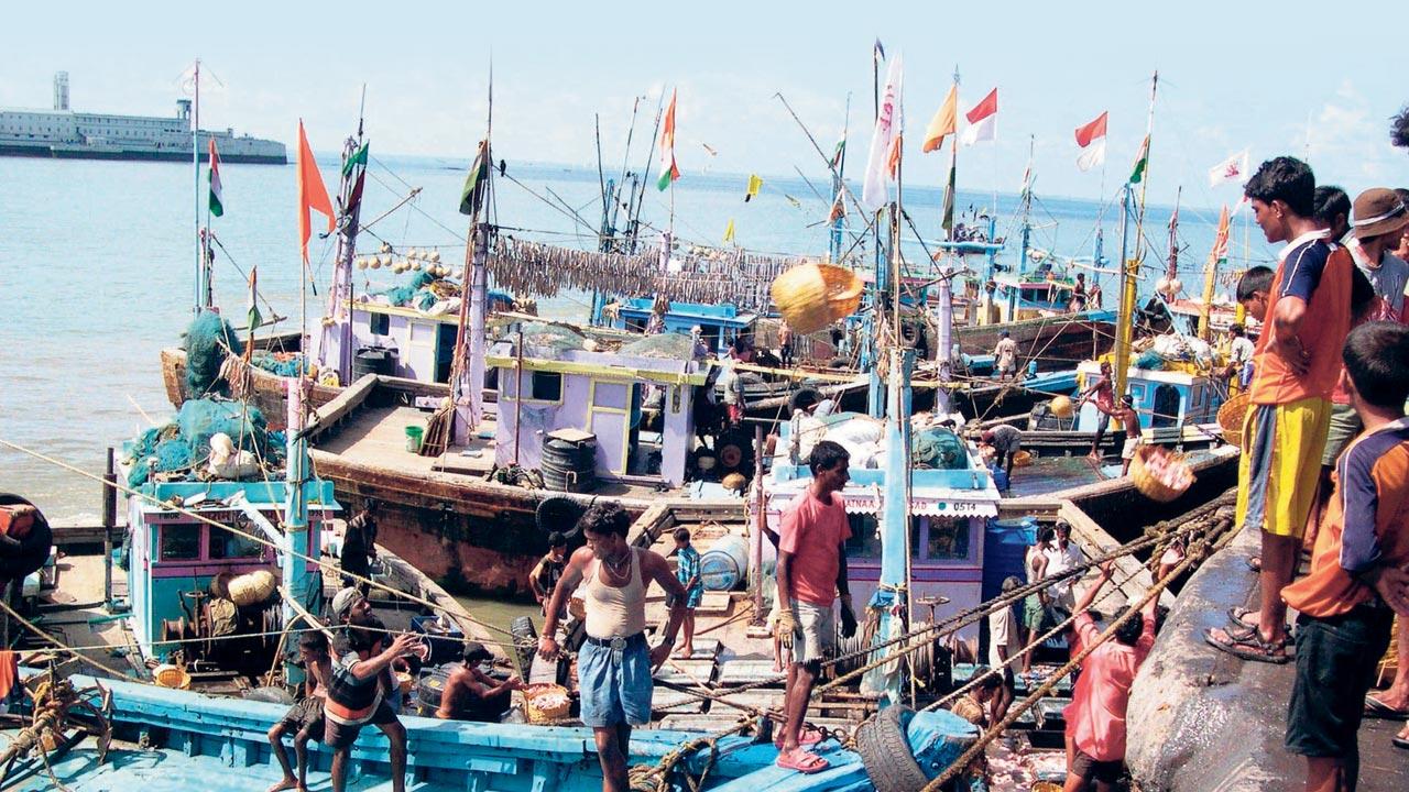 A typical day at the Sassoon Docks in Colaba. File pic