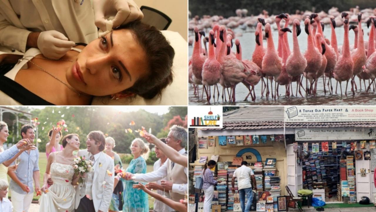 Spend your Sunday afternoon reading this week’s top feature stories