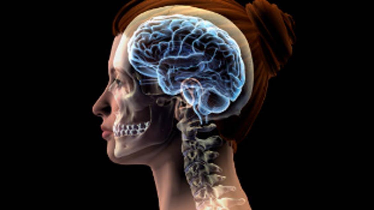 Study reveals that gender inequality may shrink women's brain