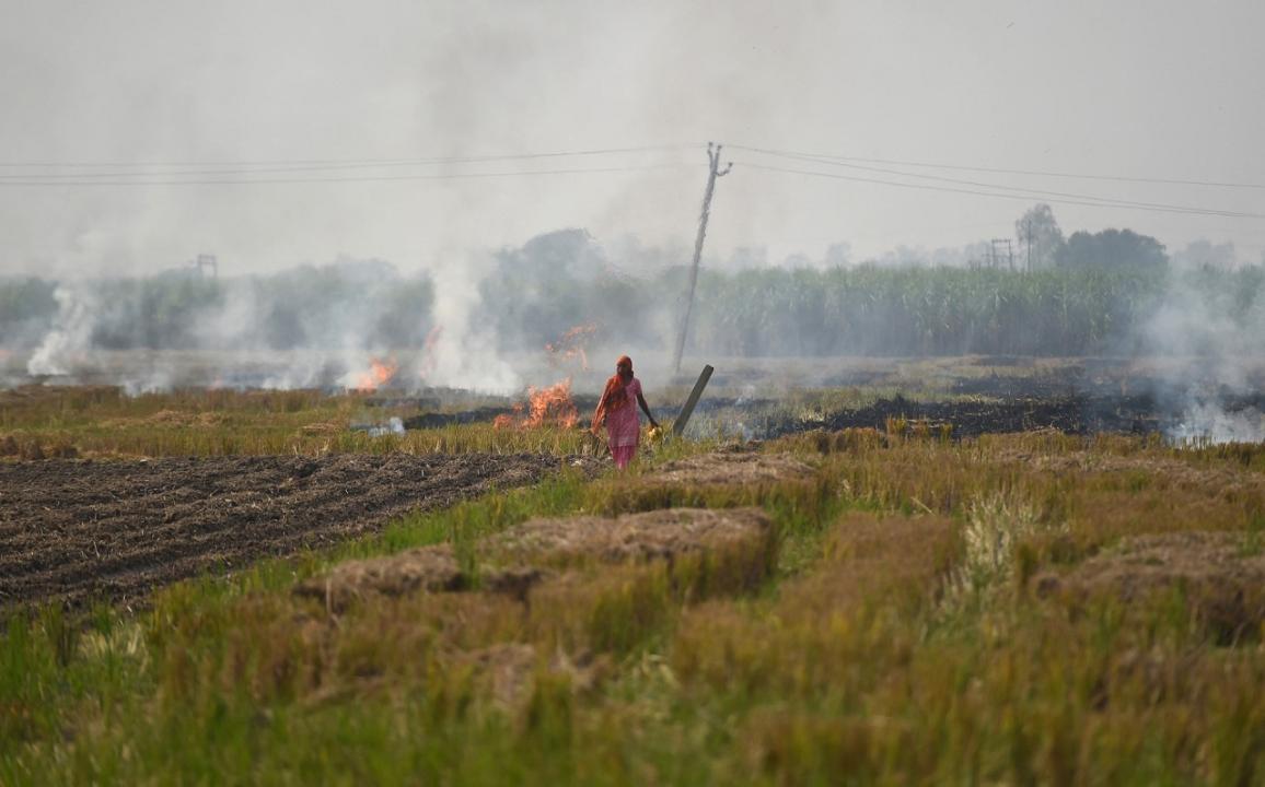 Over 930 FIRs registered against farmers for burning stubble: Punjab Police