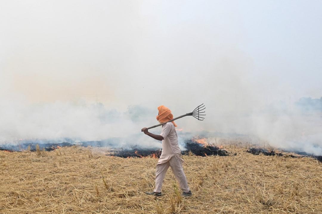 Punjab reports 740 fresh incidents of stubble burning