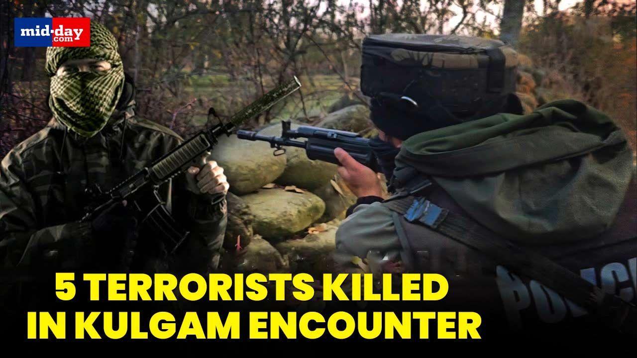 5 Lashkar-e-Taiba Terrorists Eliminated During A Joint Operation In Kulgam